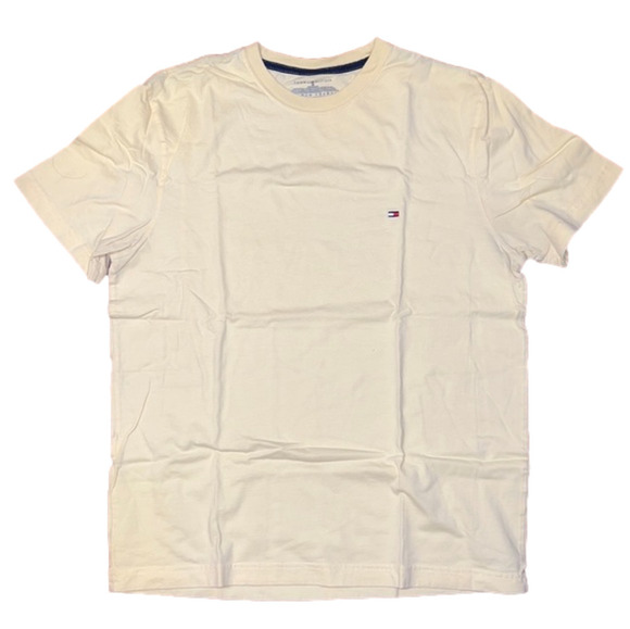 ✨HOST PICK✨ Men’s Tommy Hilfiger tshirt - Picture 1 of 6